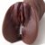 Goyha 2 in 1 Brown Realistic Male Masturbator with Strong Suction,Single Opening Lifelike Pocket Pussy Toy with 3D Vagina and Anus,Goyha Portable Adult Male Sex Toy for Men Masturbation Pleasure