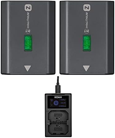 Sony NPFZ100 Z-Series Rechargeable Camera Battery (Two-Pack) Bundle with Dual Charger (3 Items)